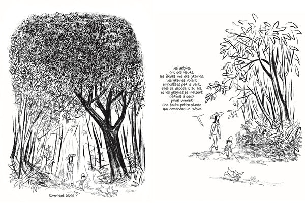 Comment naissent les arbres - Charles Berbérian